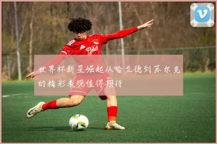 世界杯新星崛起从哈兰德到苏尔克的精彩表现值得期待