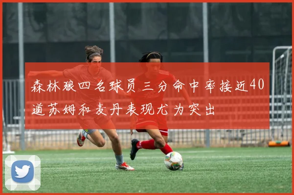 森林狼四名球员三分命中率接近40道苏姆和麦丹表现尤为突出